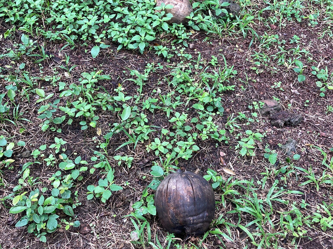 Reserva Galápagos Frontier-圣克鲁斯必去景点