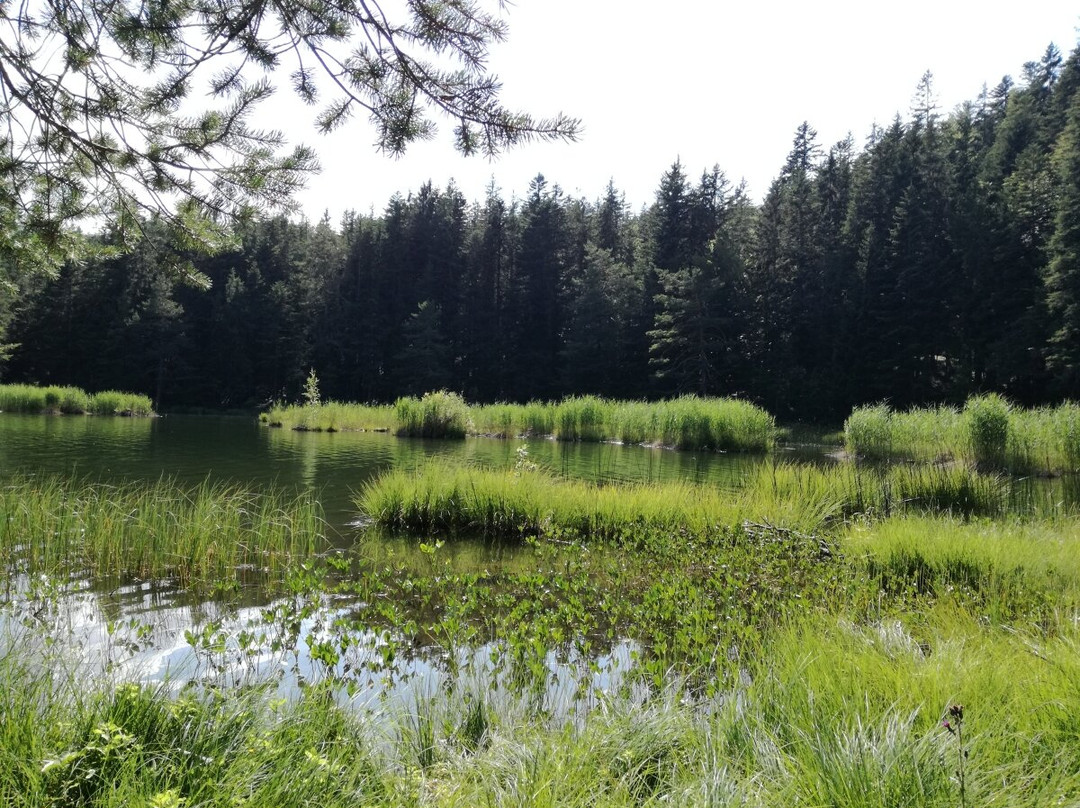 Bergwanderführer Tirol-洛伊塔戌必去景点