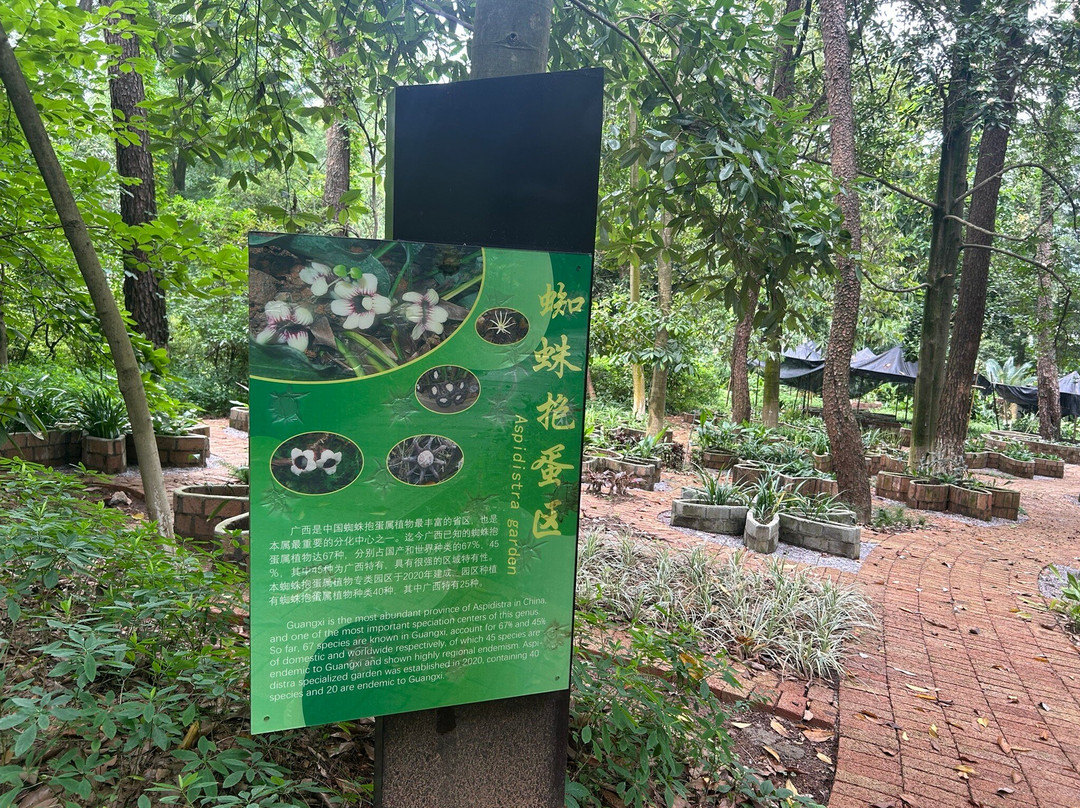 桂林植物园-桂林市必去景点
