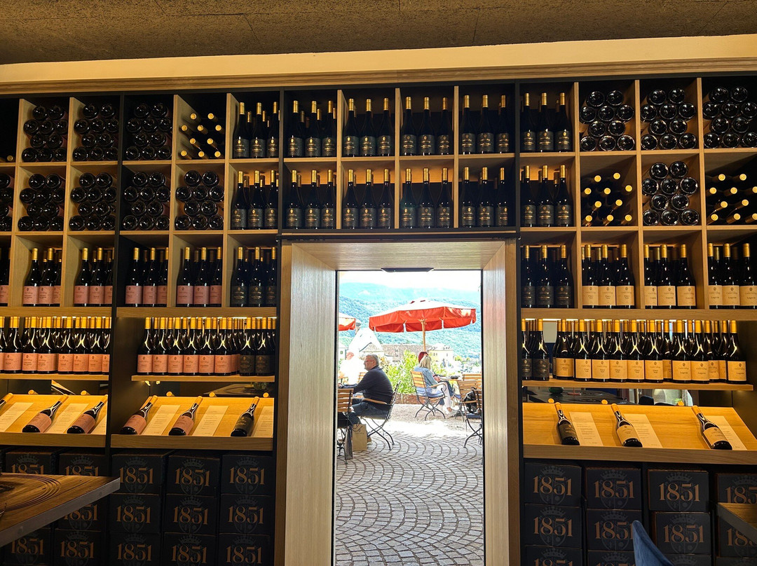 Weingut / Vinothek Castel Sallegg-Caldaro sulla Strada del Vino必去景点