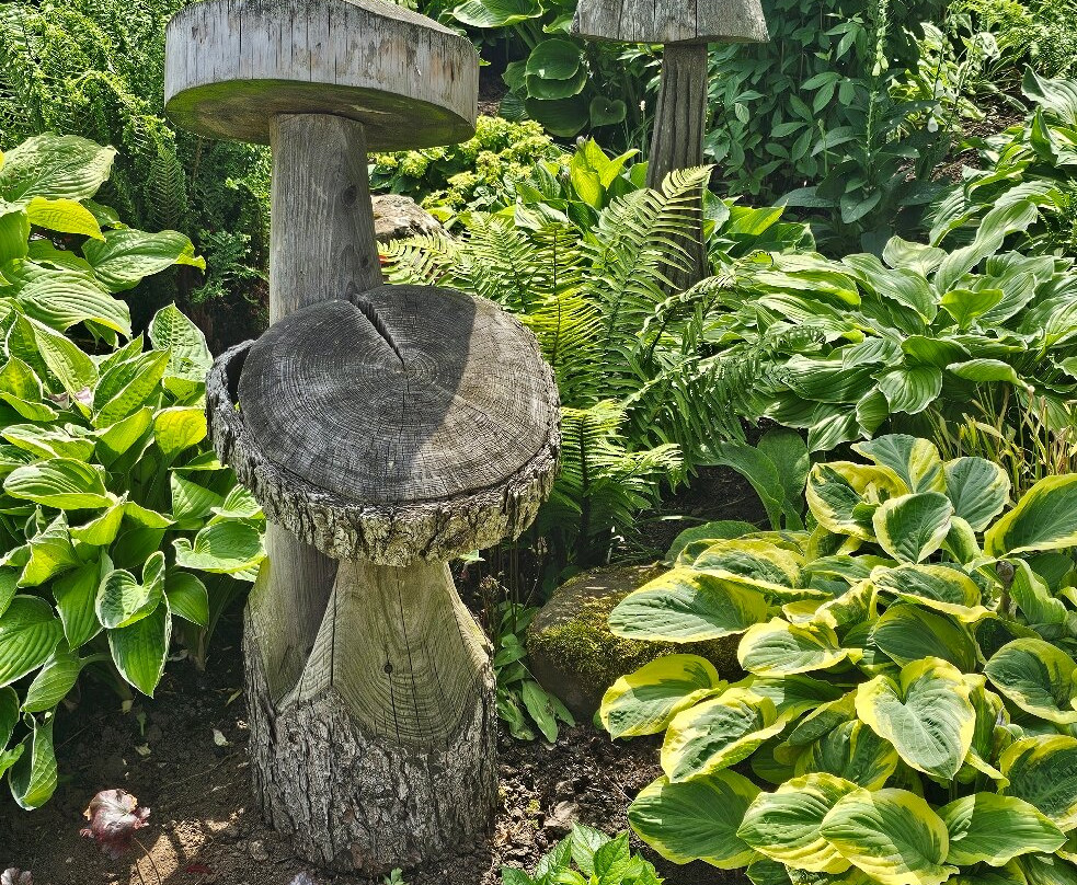 Thornton Hall Gardens-达灵顿必去景点