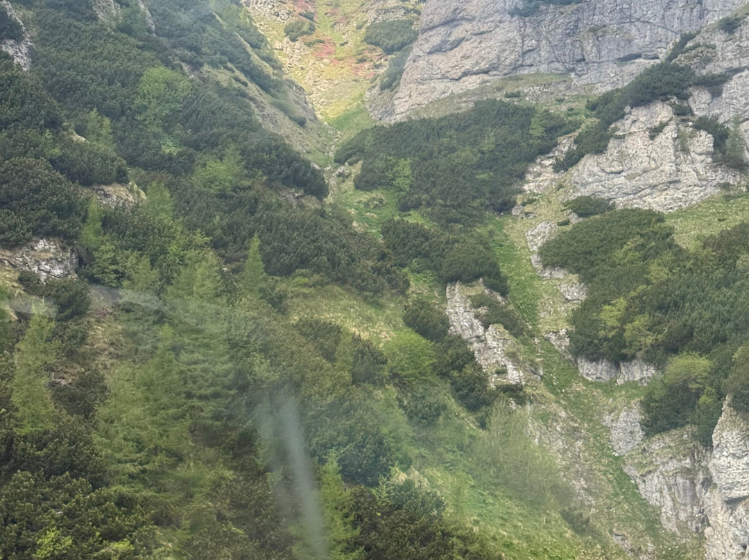 Busteni Cable Car-布什泰尼必去景点