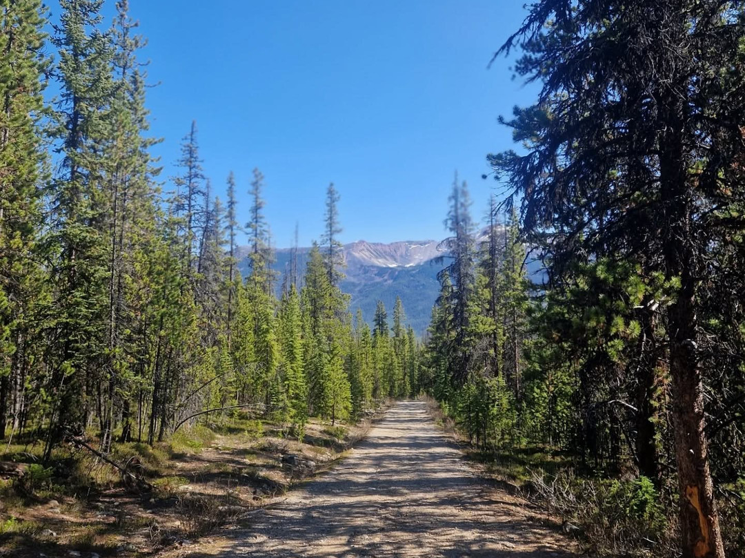 Bald Hills-贾斯珀必去景点