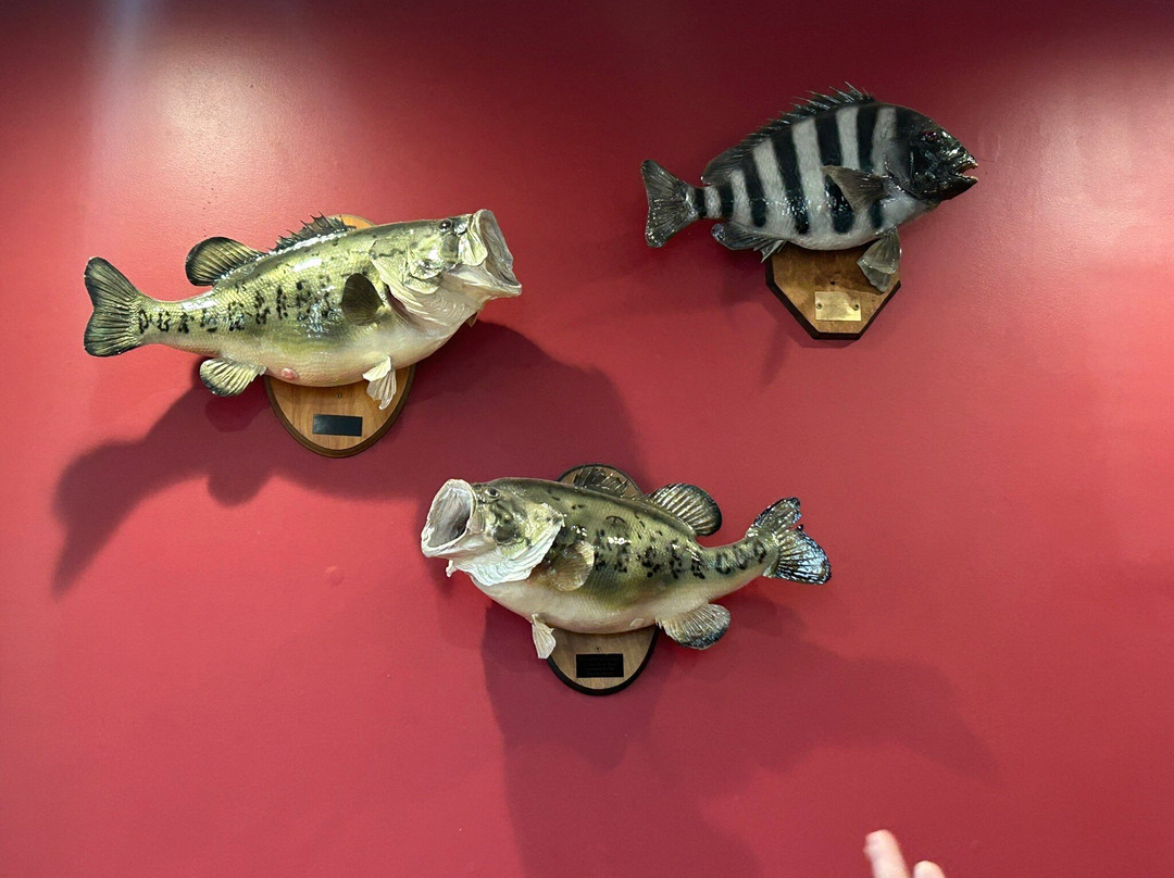 Round’s On Winthrope