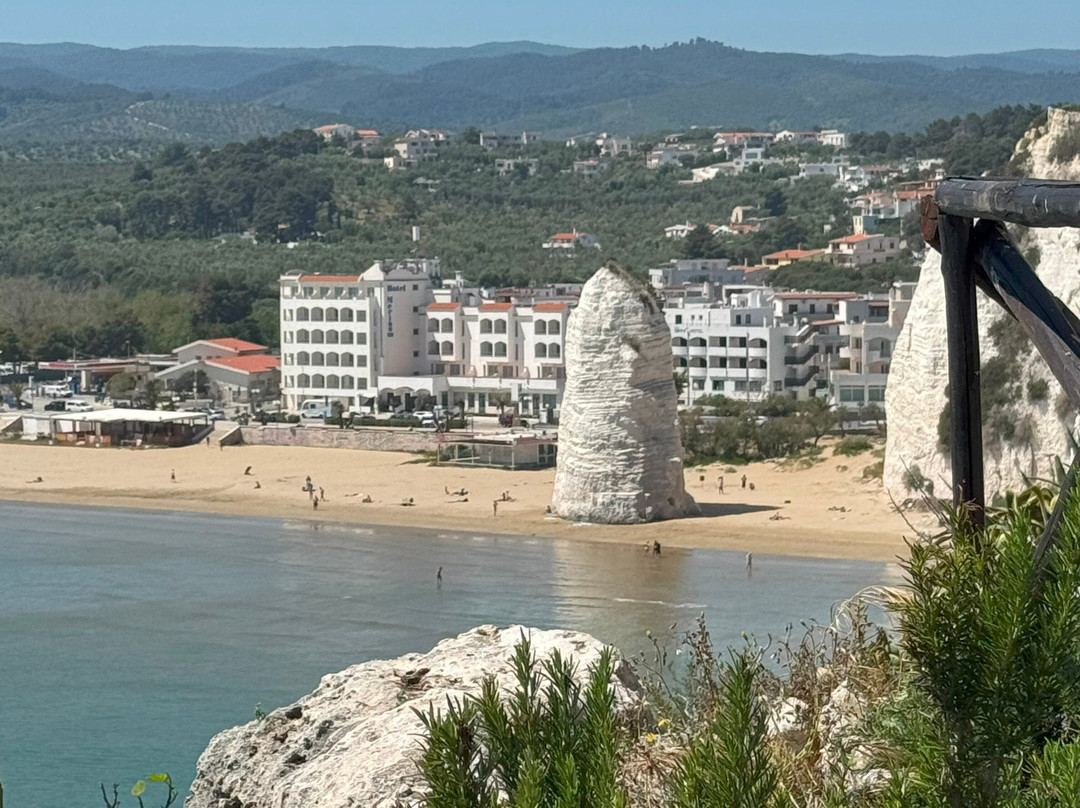 Spiaggia del Pizzomunno-维耶斯泰必去景点