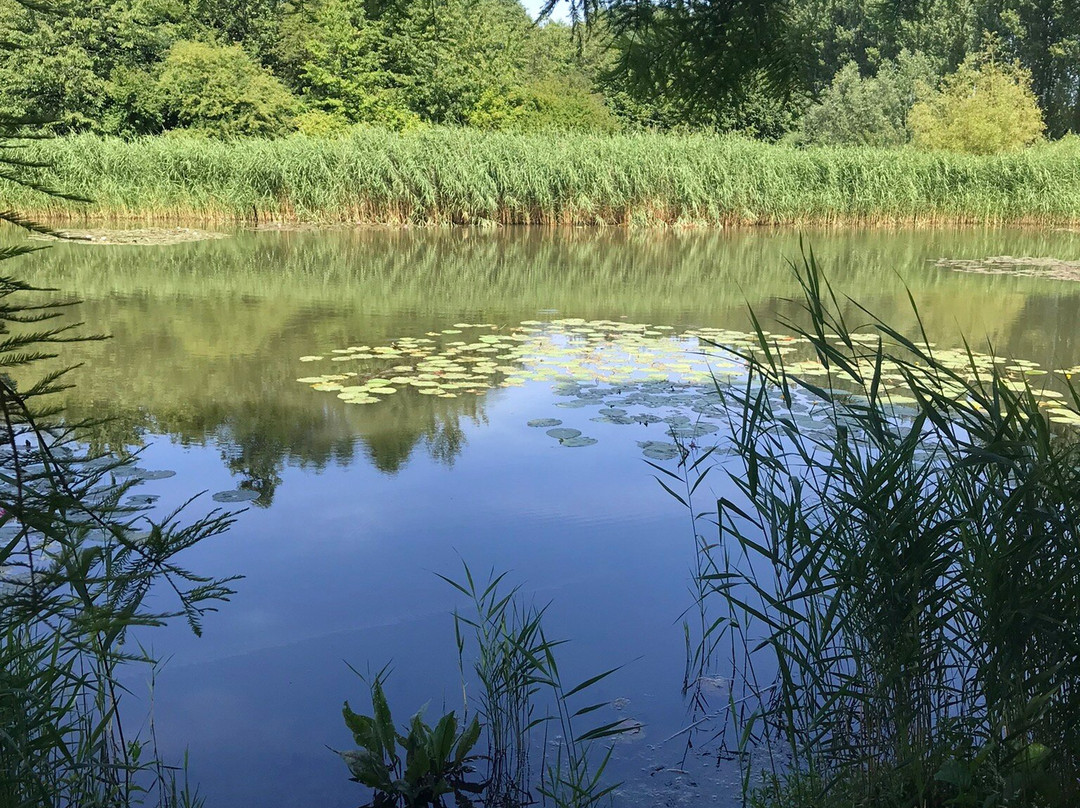 Maximapark Utrecht-Vleuten必去景点