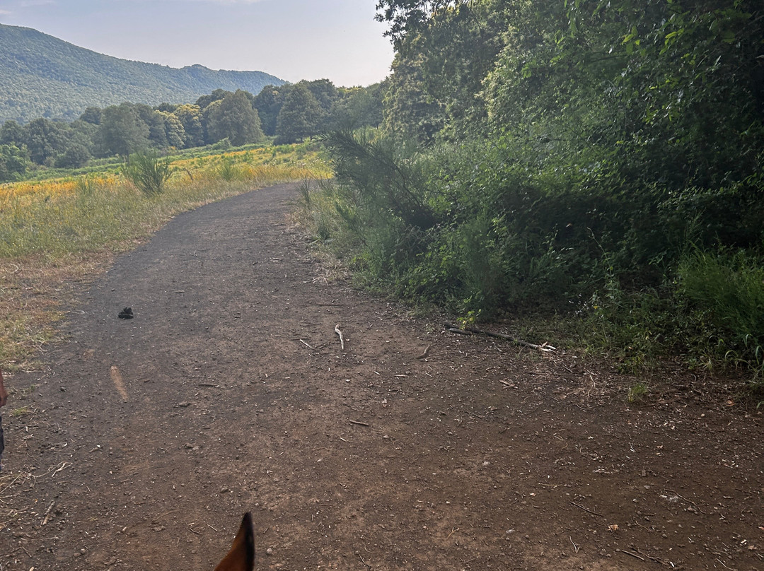 The Fairy Ranch-Rocca di Papa必去景点