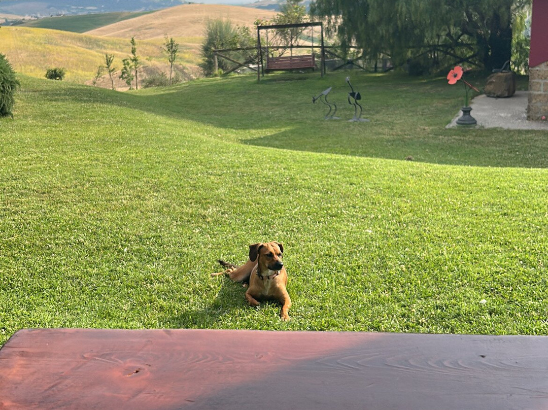 Agriturismo Re Tarquinio主图