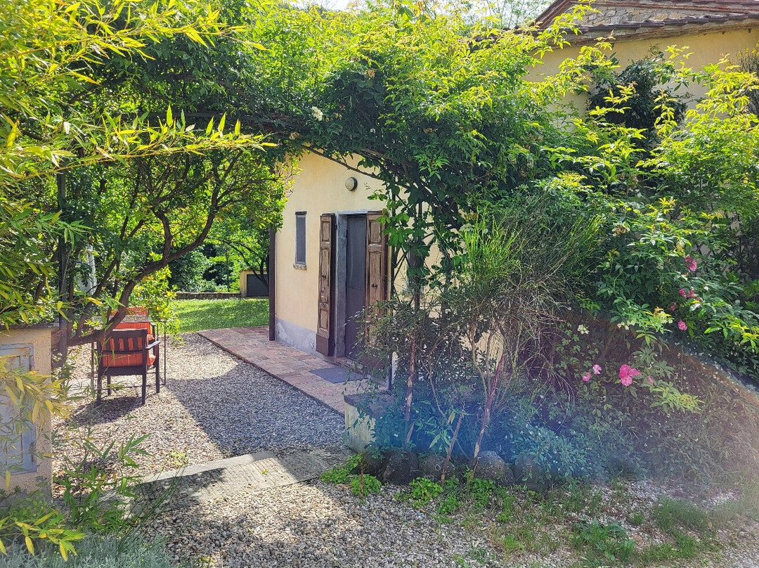 B&B Il Cielo Bio主图