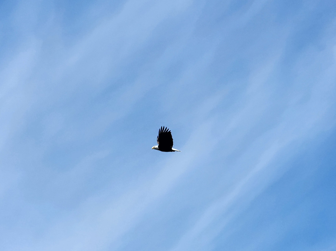 Blue Ice Alaska Charters LLC-苏厄德必去景点