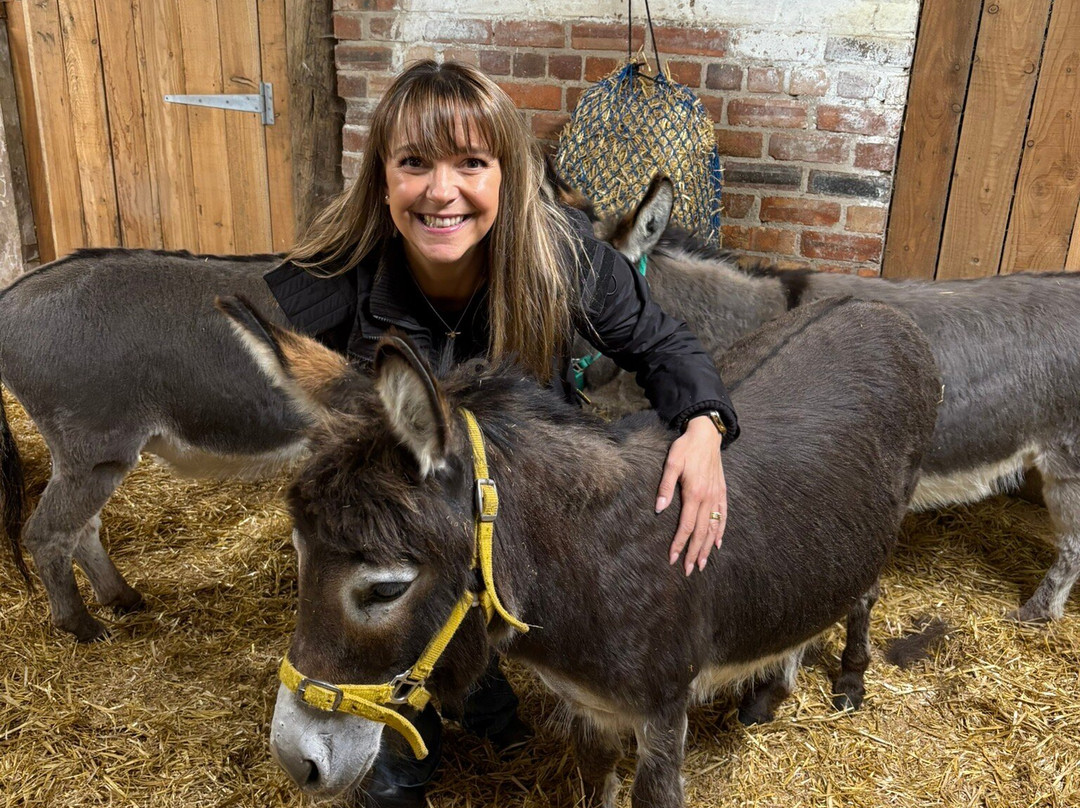 Moel Famau Donkeys-Llanferres必去景点