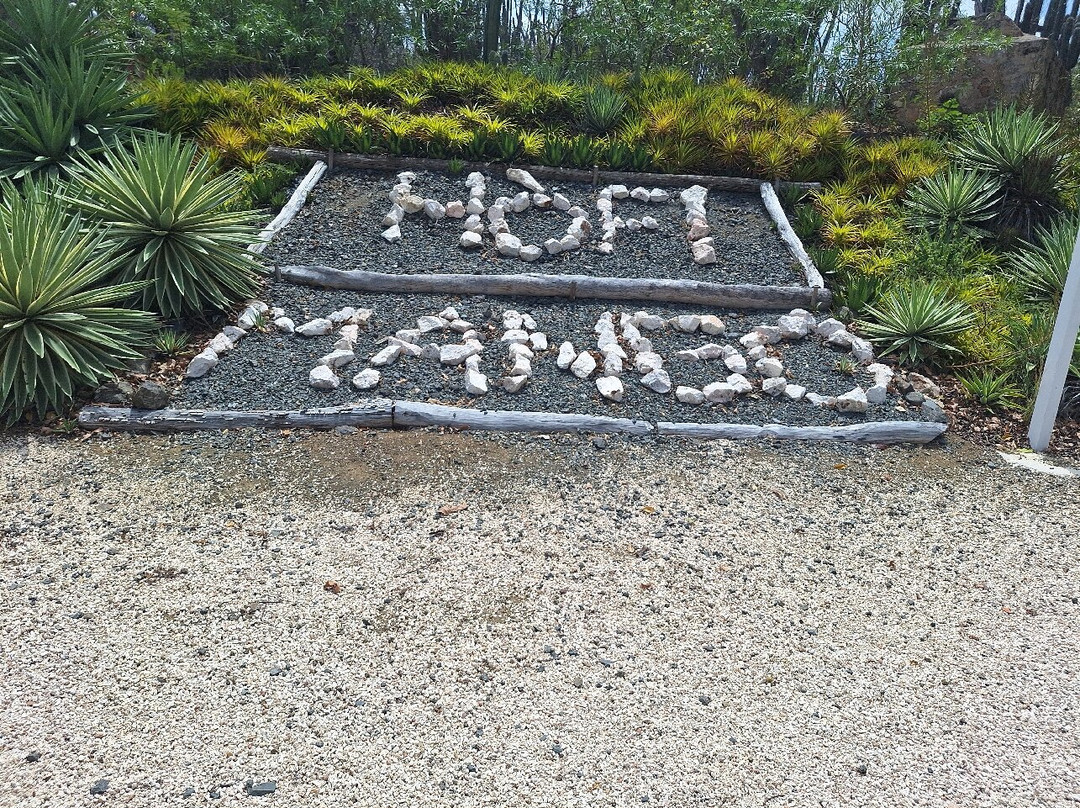 Landhuis Bona Vista主图