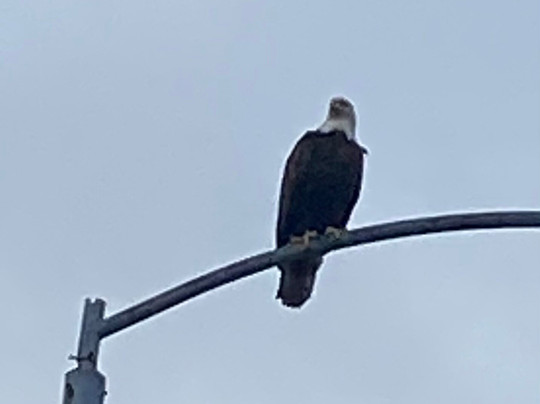 Kodiak Connections - Kodiak Walking and Hiking Tours-Kodiak必去景点