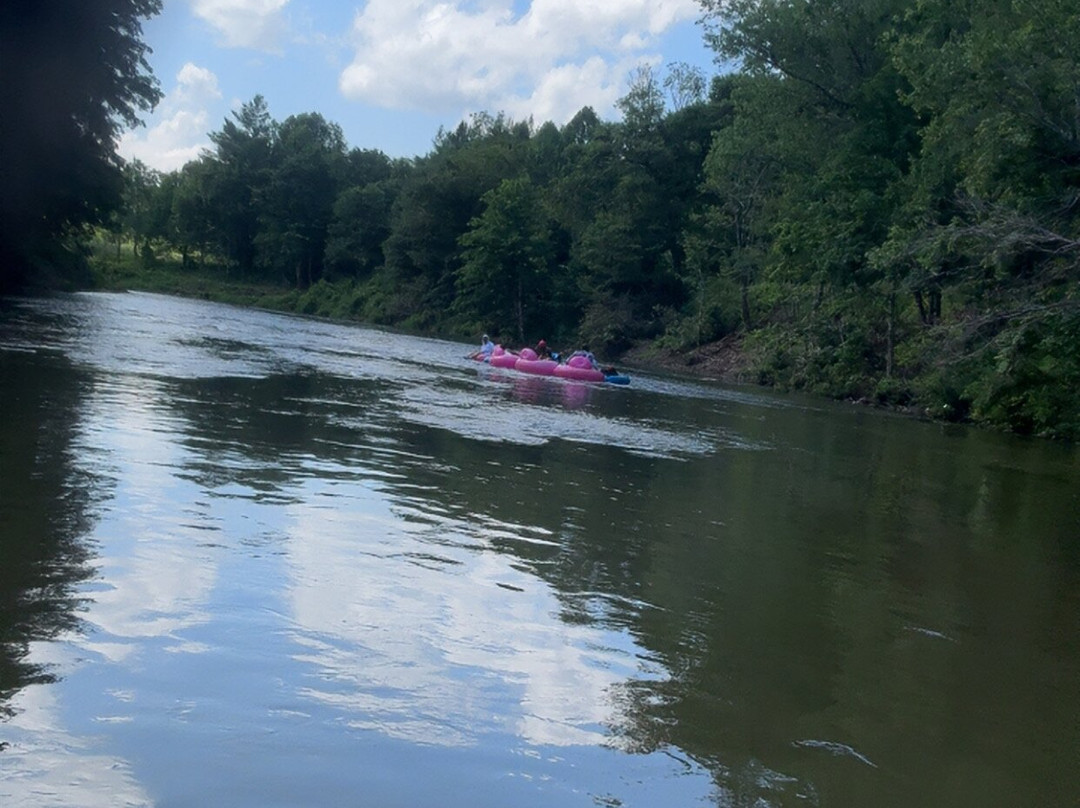 Wahoo's Adventures-Todd必去景点