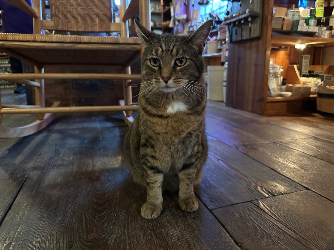 O'Hurley's General Store-Shepherdstown必去景点