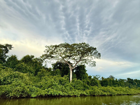 Biodiverse Brazil Tours-Chapada dos Guimaraes必去景点