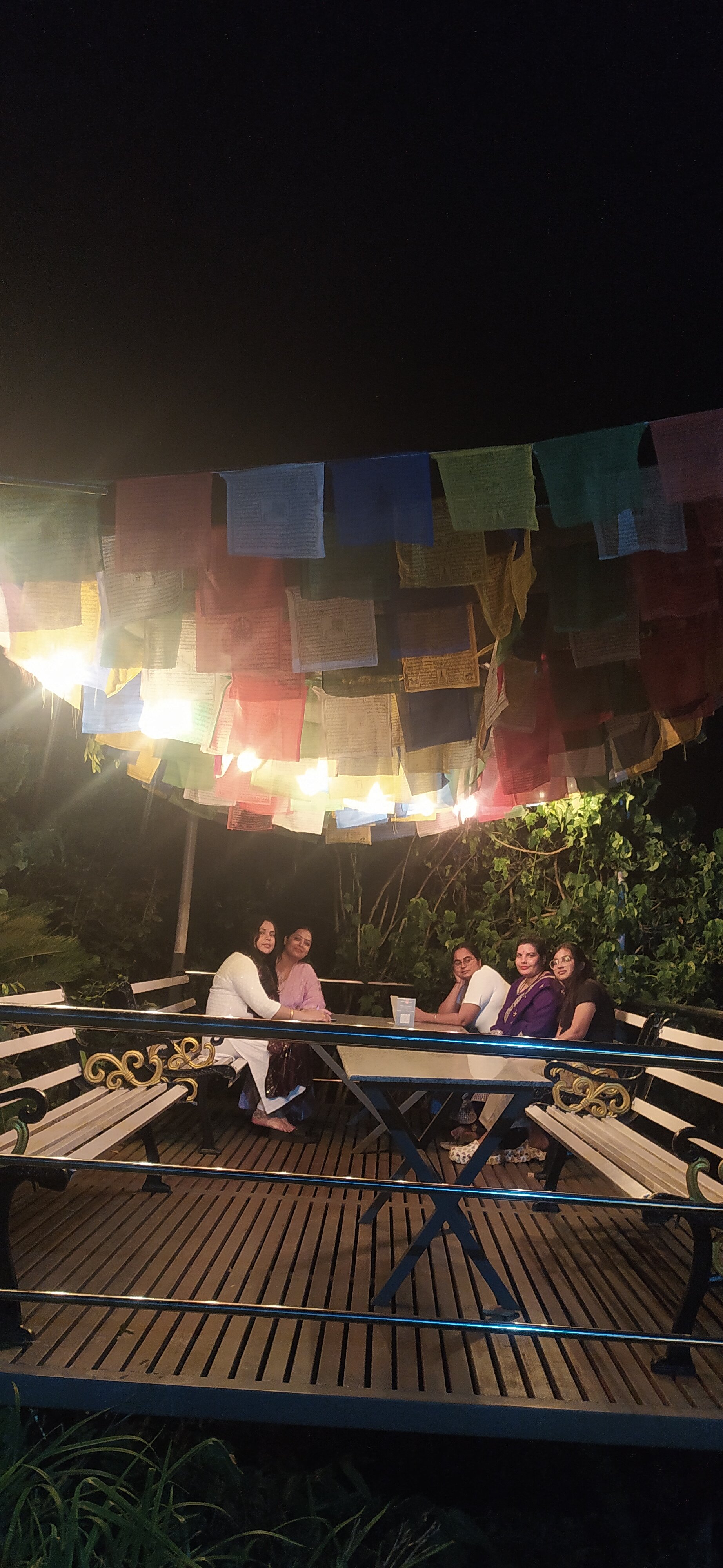 Sood's Himalayan Vista-官方