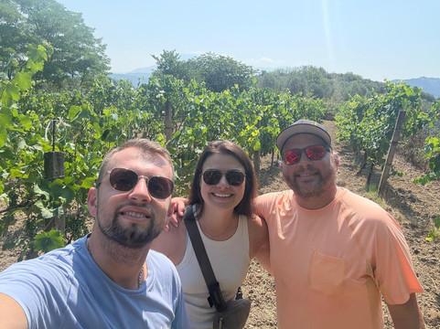 Olive Oil & Vineyard Tour Berat-培拉特必去景点