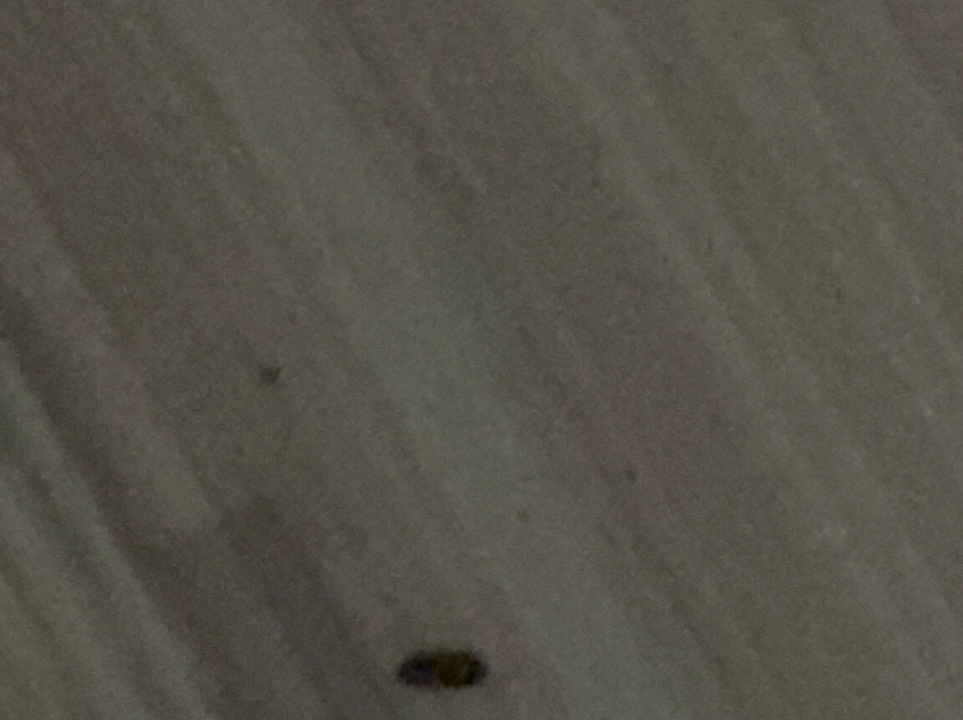 AmericInn by Wyndham Appleton Downtown主图