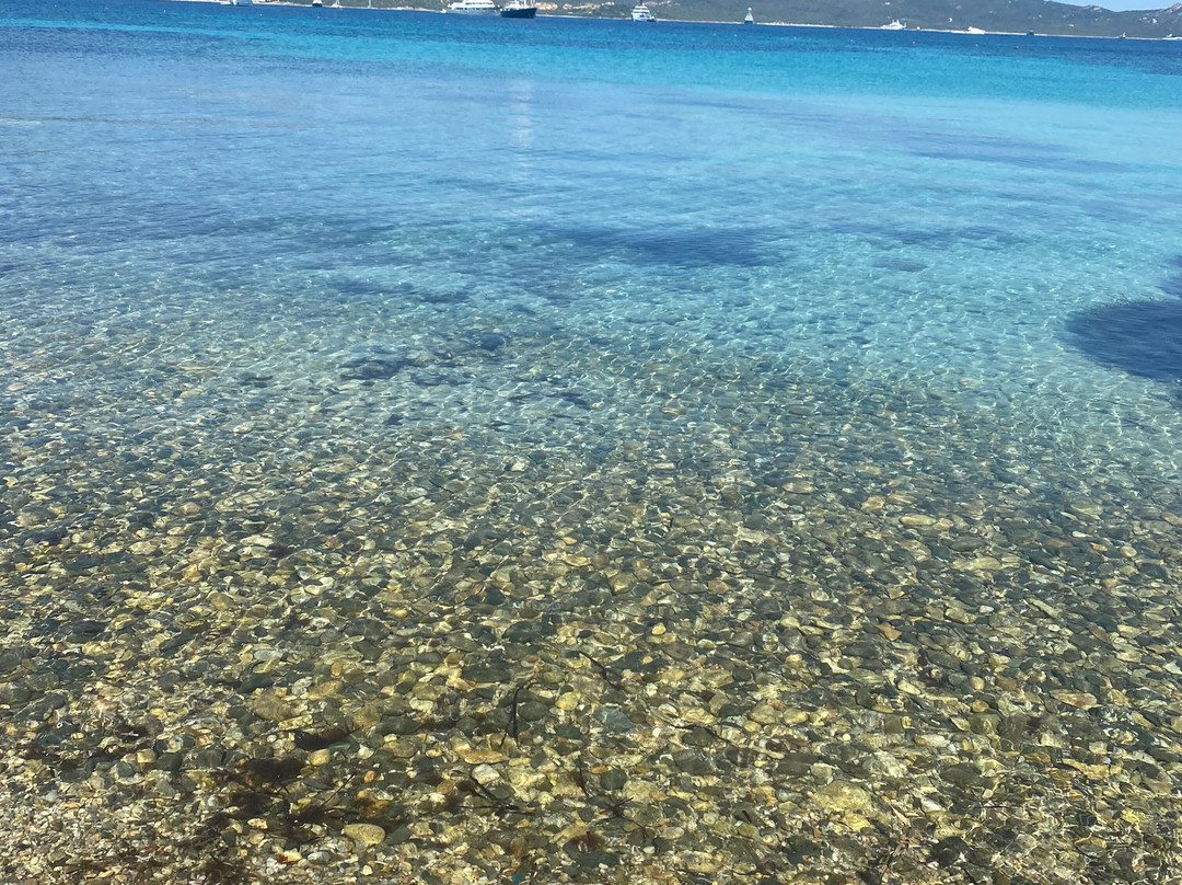 Spiaggia Punta Volpe-Porto Rotondo必去景点