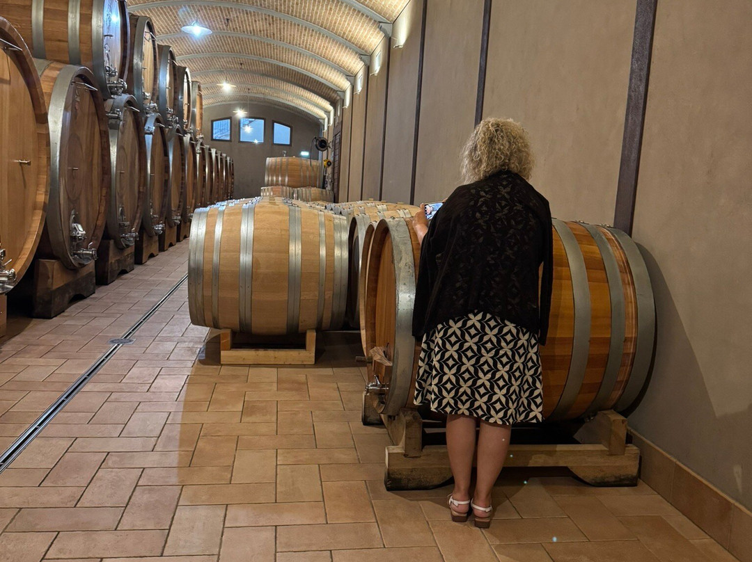 Massolino Winery-塞拉伦加达尔巴必去景点