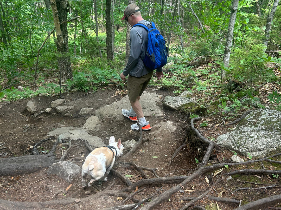 Mount Major-Alton Bay必去景点