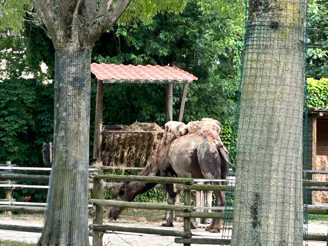 Parco Zoo Punta Verde-利尼亚诺萨比亚多罗必去景点