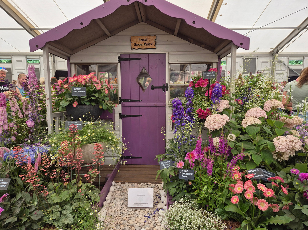 Hampton Court Flower Show-East Molesey必去景点