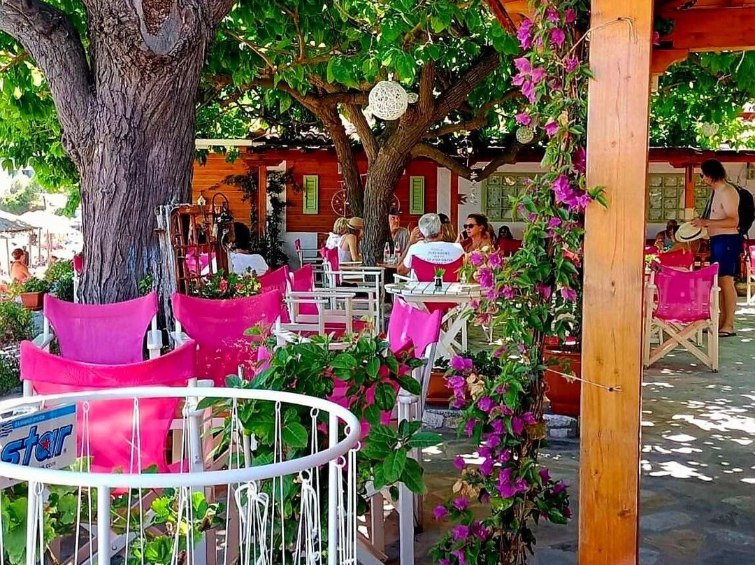 Mojo Bar by the Sea-Skiathos Town必去景点