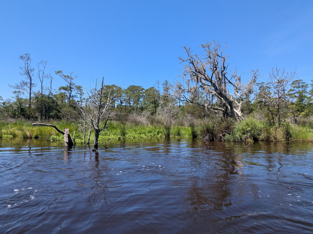 Outer Banks Kayak Adventures-外滩群岛必去景点