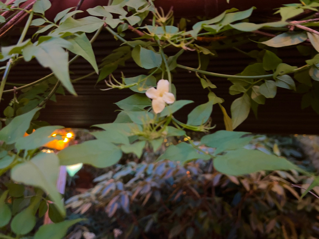 McMenamins Anderson School Hotel主图