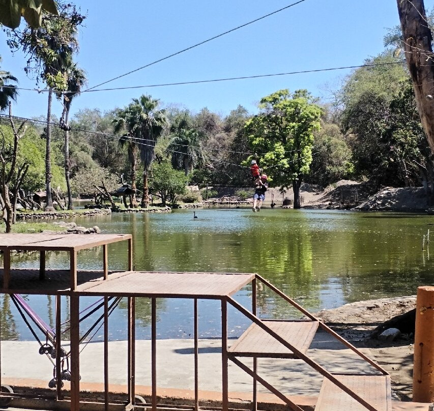 Zoofari-Amacuzac必去景点