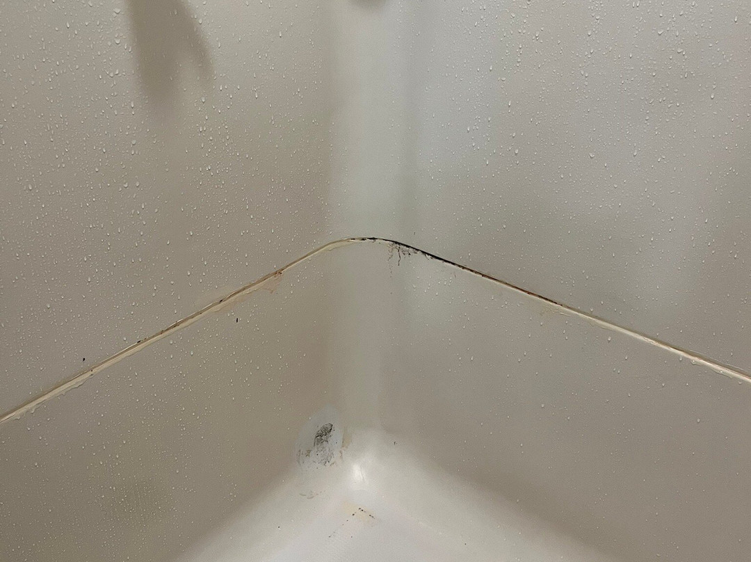 Sleep Inn - Lansing North / Dewitt主图