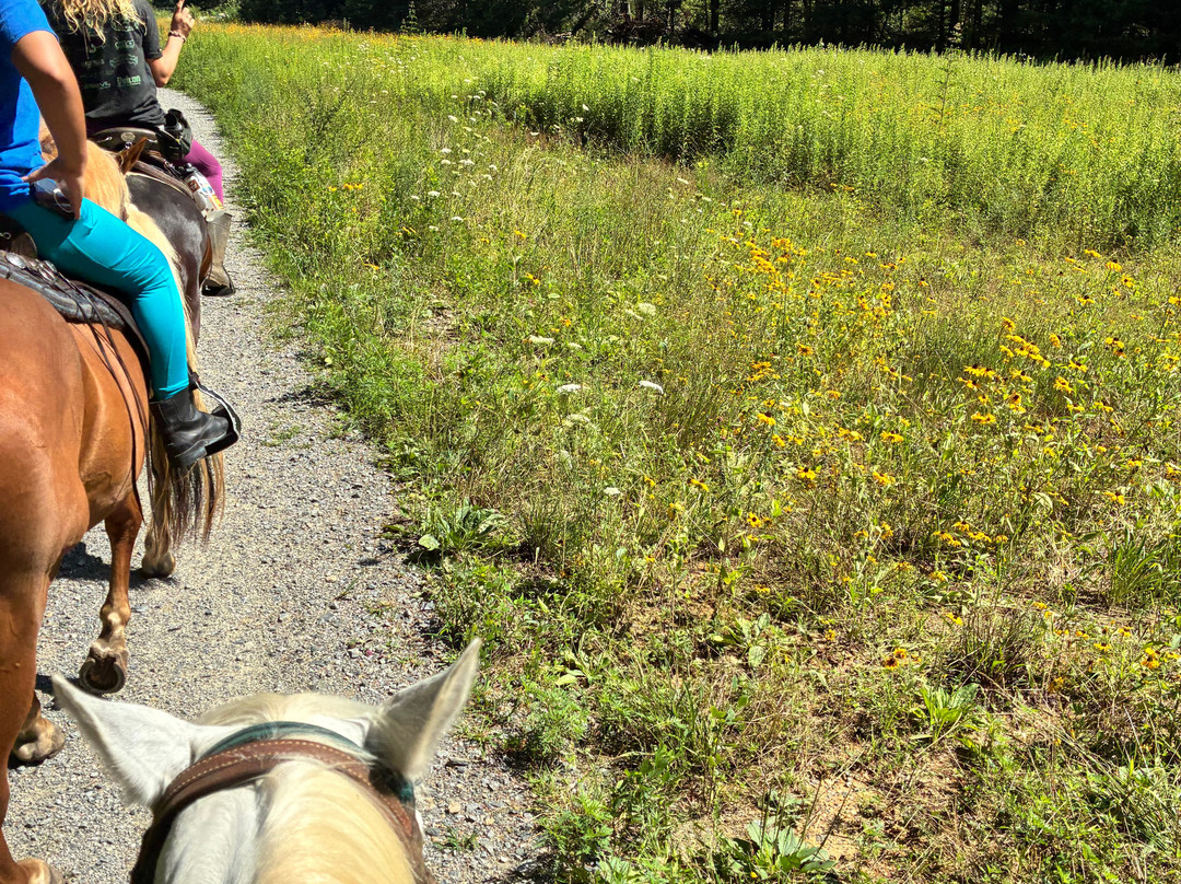 Rusty Spur Trail Rides-Cedar Mountain必去景点