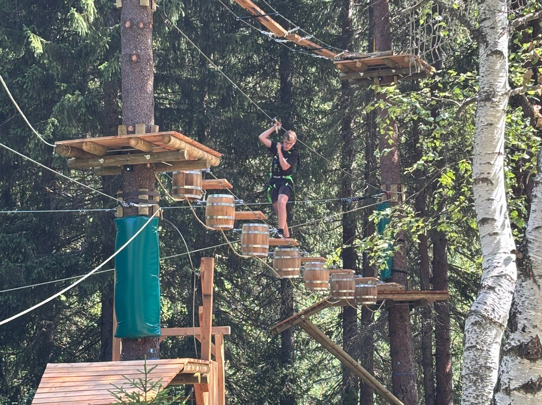 Arboria Aventures - Champagny-Champagny-en-Vanoise必去景点