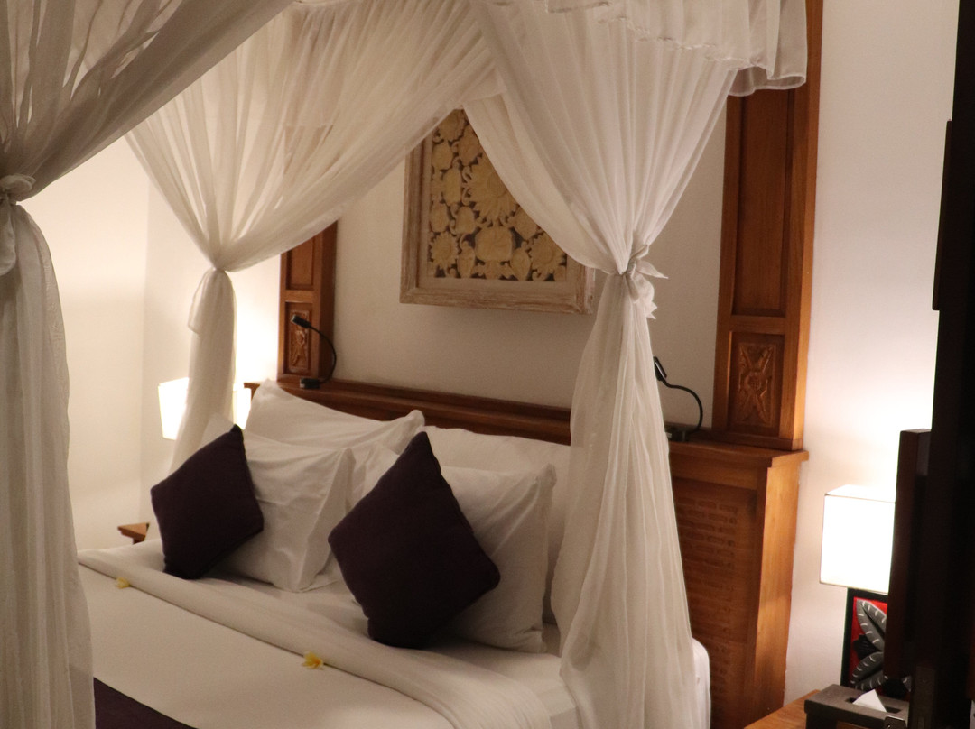 Swan Paradise A Pramana Experience主图