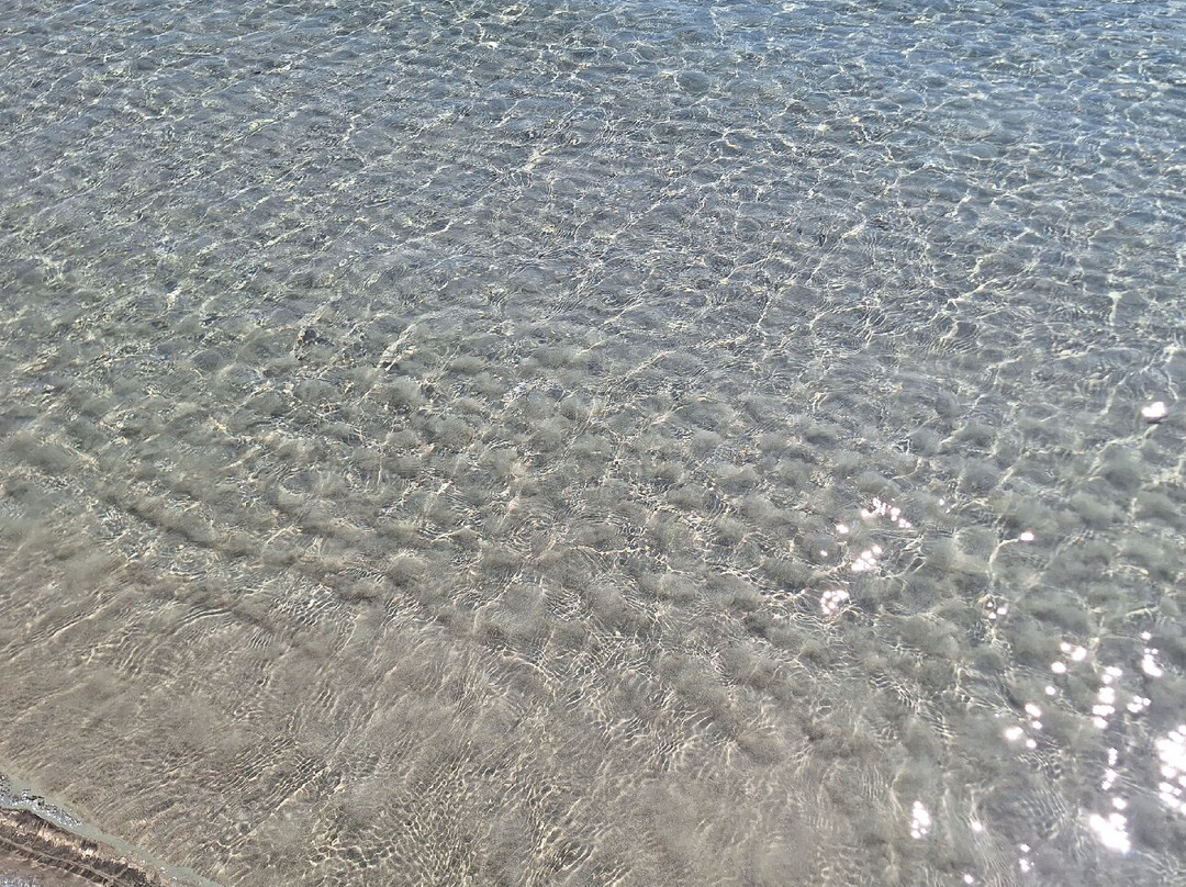 Plage de Tamaricciu-维琪奥港必去景点