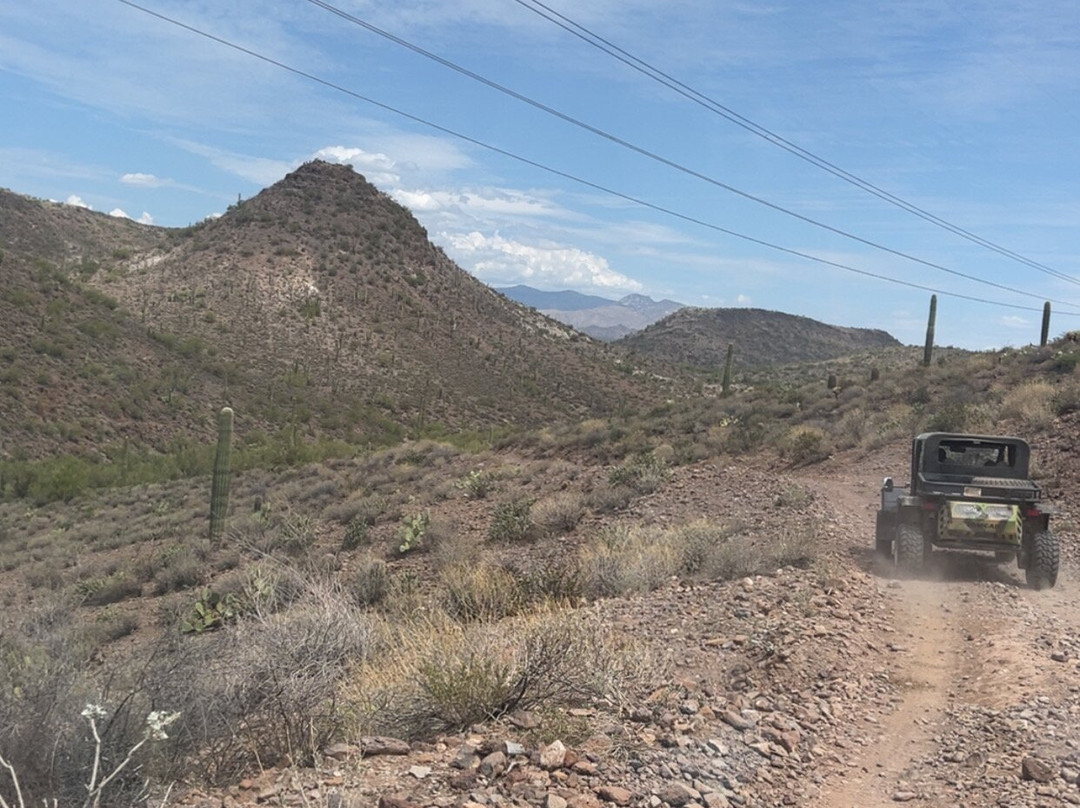 Desert Wolf Tours-凤凰城必去景点
