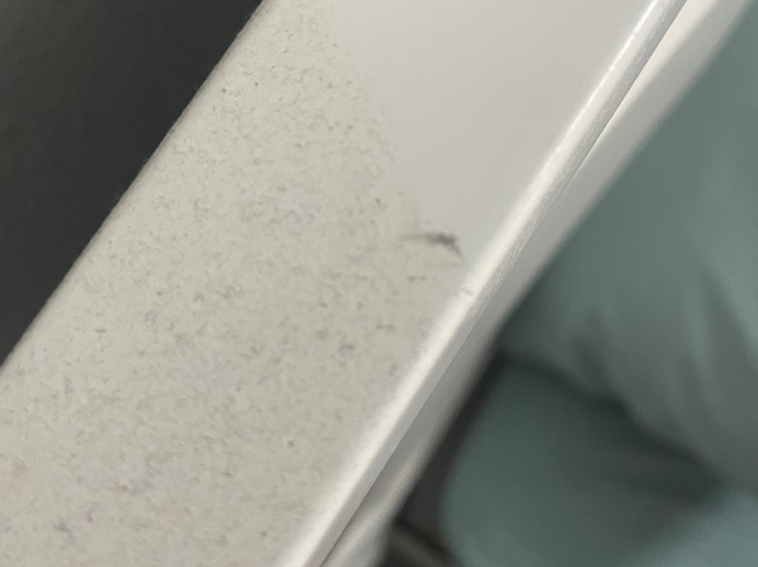 Lantana Resort主图