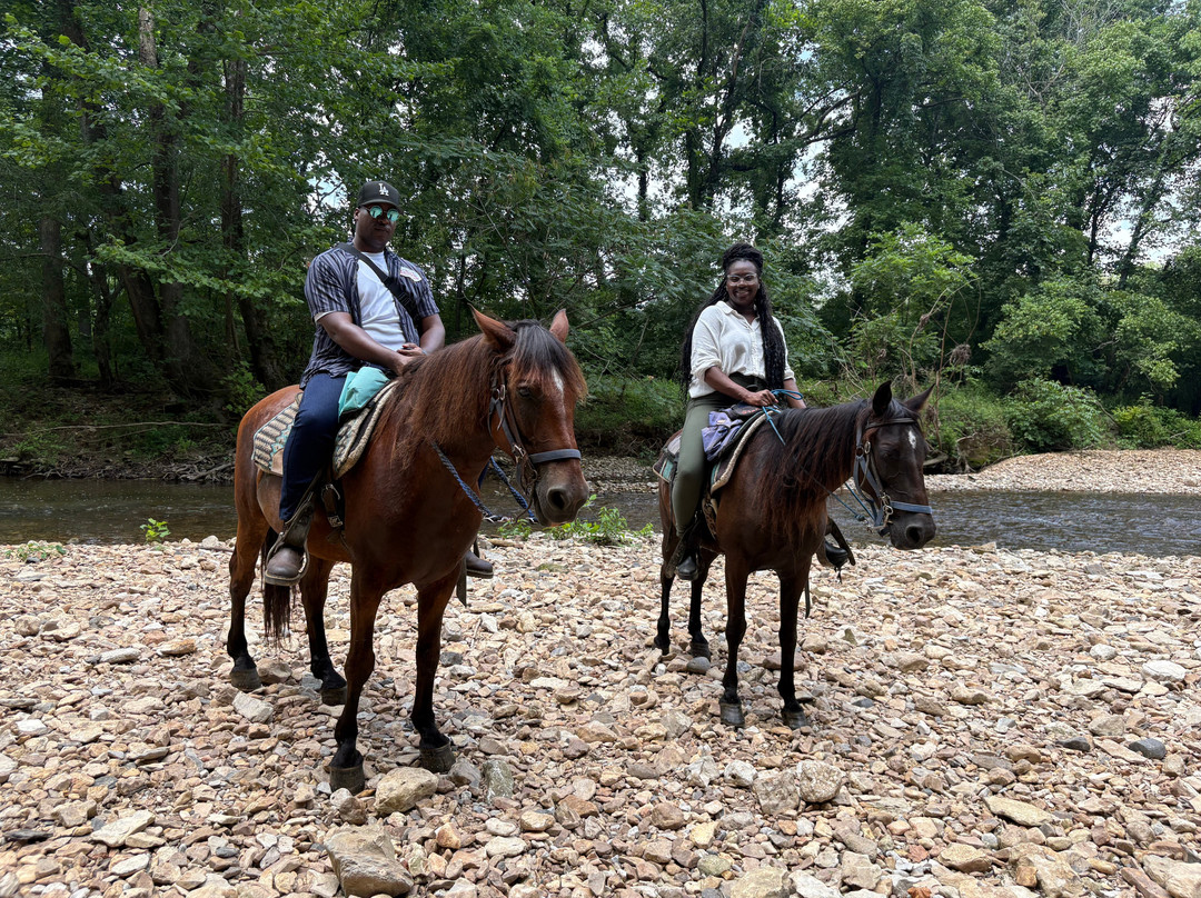 Natchez Trace Stables-Primm Springs必去景点