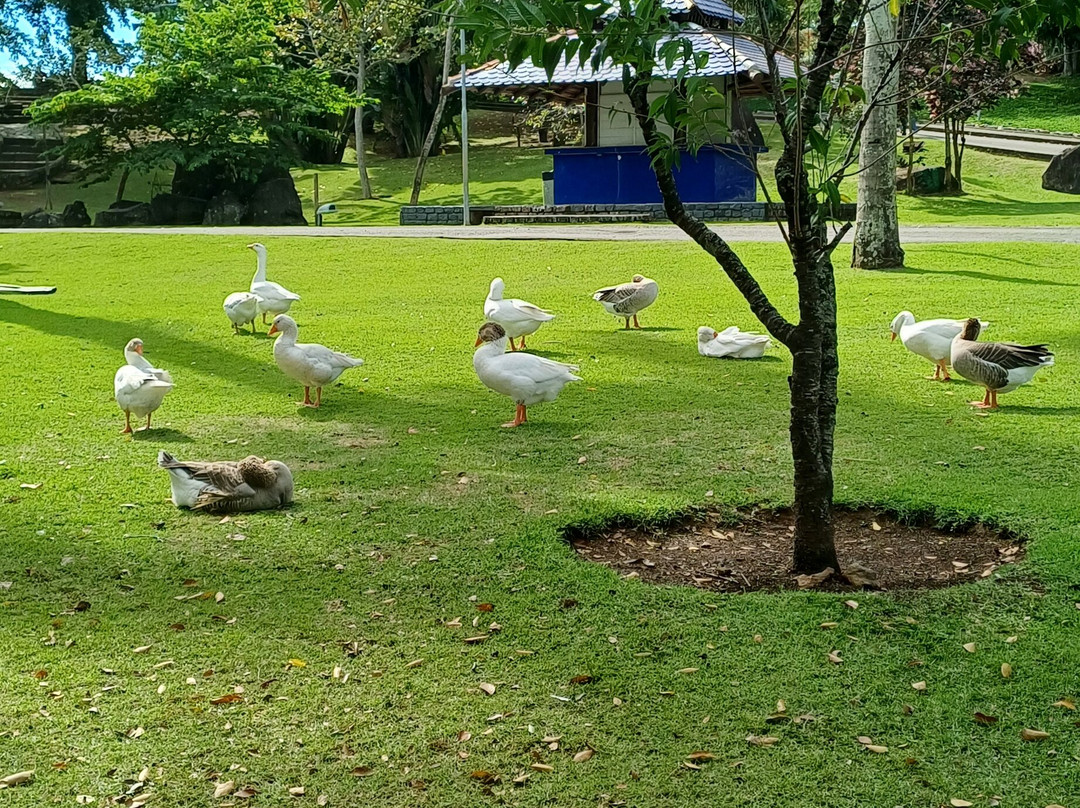 Parque Pedra da Cebola-维多利亚必去景点
