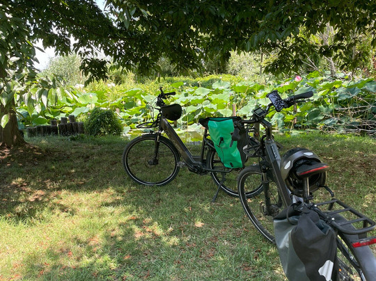 Pedalando Vai - Bike Rentals-明乔河畔瓦莱焦必去景点
