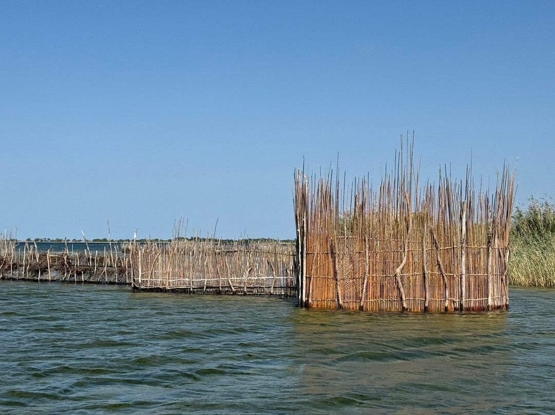 Kosi Bay Nature Reserve-Kosi Bay必去景点