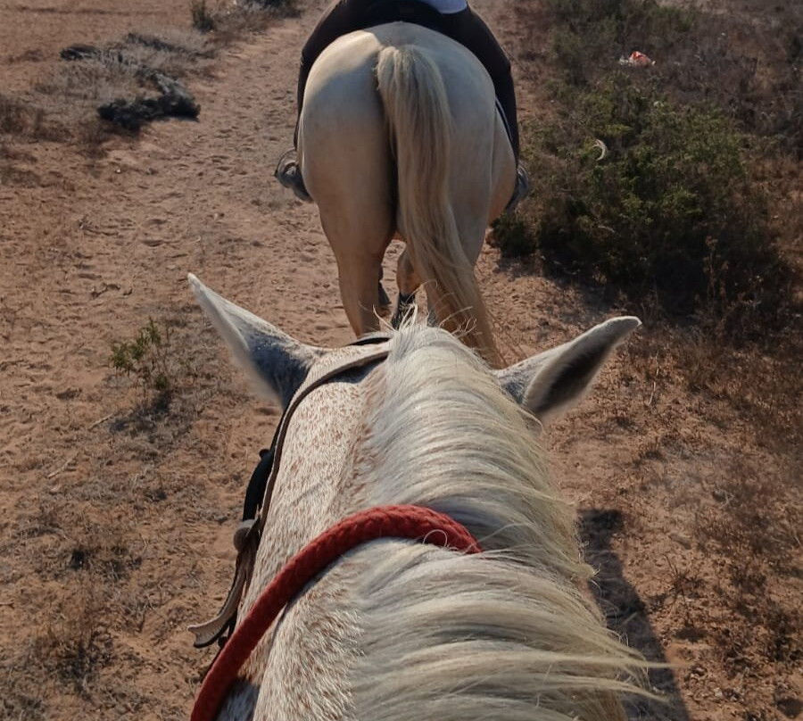 Riding stable El Refugio-瓜尔达马尔德尔塞古拉必去景点