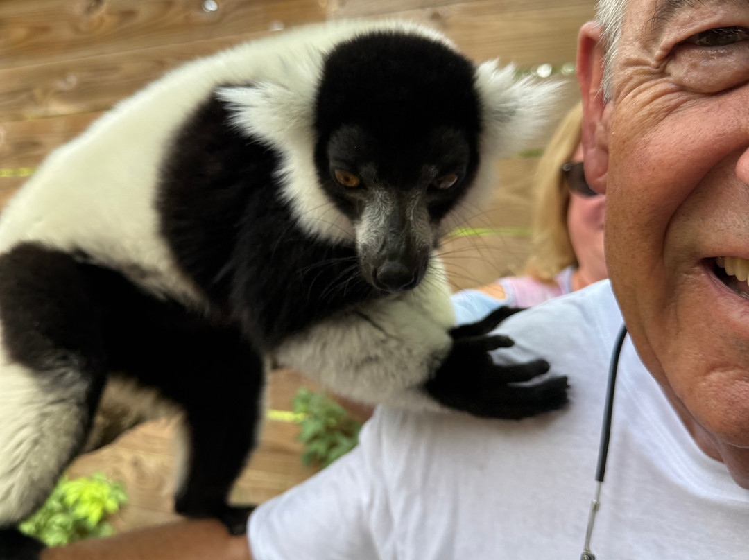 North Florida Wildlife Center-Lamont必去景点