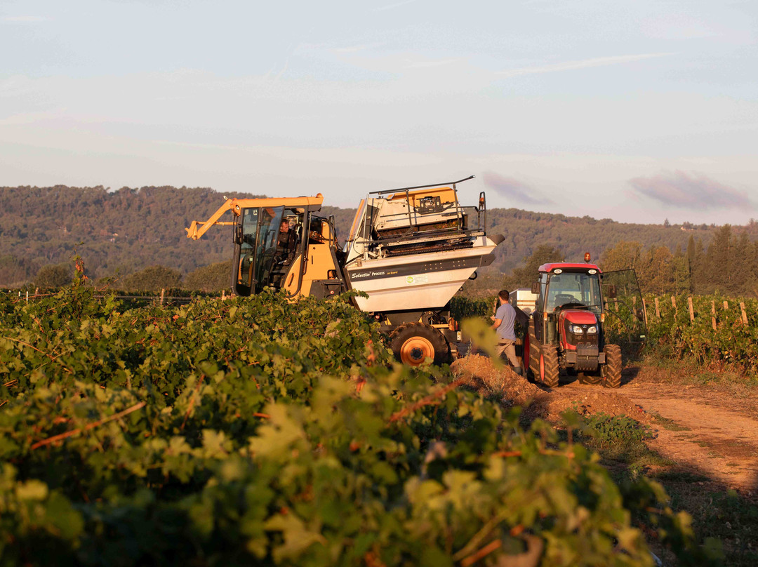 Domaine Viticole Grande Bastide-Tourrettes必去景点