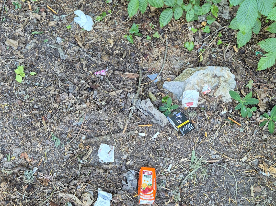 Catak Kanyonu Cam Seyir Terası-Azdavay必去景点