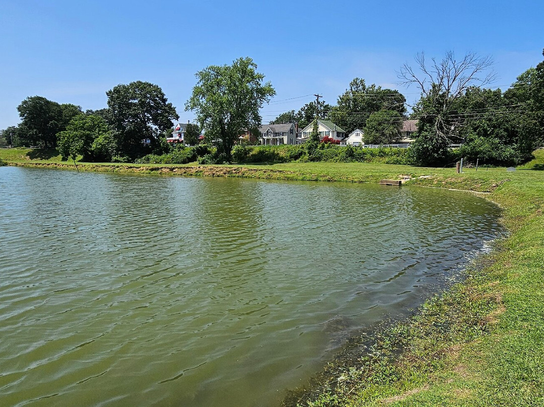 Cow Pond-埃尔克顿必去景点