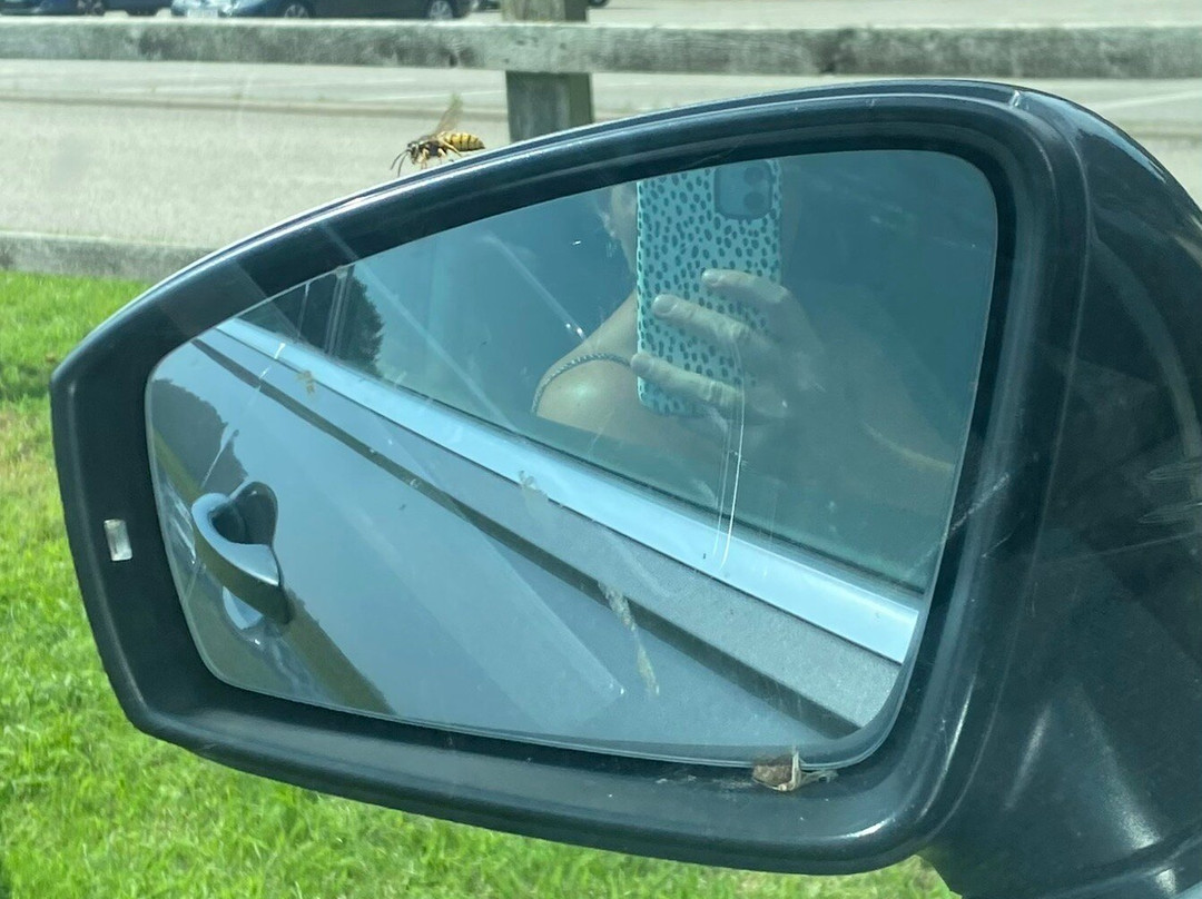 Normanby Hall Country Park-Normanby必去景点