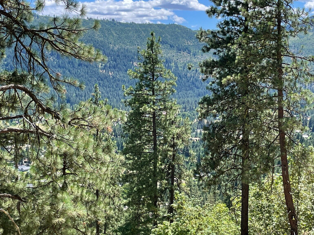 Icicle Ridge Trail-莱文沃思必去景点